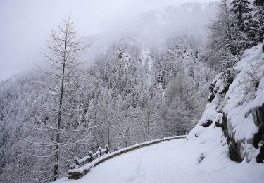 Randonnée A pied Mühlbach - Rio di Pusteria - 15 - Photo