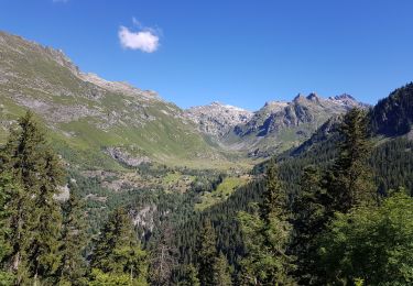 Trail Walking Sainte-Foy-Tarentaise - Aller retour au refuge de l'Archeboc depuis le Planay dessous  - Photo