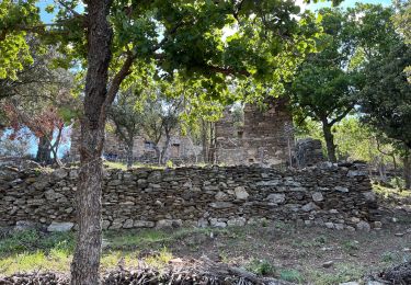 Excursión Senderismo Argelès-sur-Mer - Mas Cristina: Par les trois mas - Photo