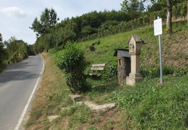 Tour Zu Fuß Igel - Igel2 liersberg - herresthal - Photo