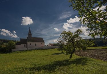 Percorso A piedi Sinzing - Jurasteig Schwarze-Laber-Schlaufe - Photo