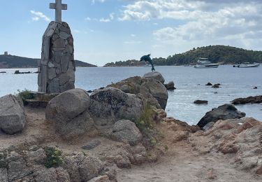 Tocht sport Zonza - A revoir belle plage - Photo