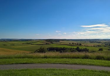 Tour Zu Fuß Silbernachen - Circuit du Mont Saint-Pierre - Photo