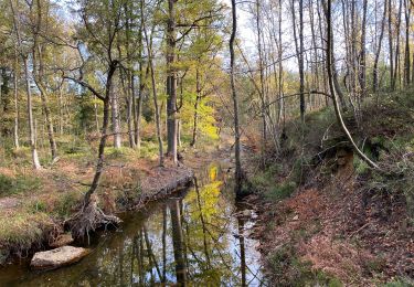 Tour Wandern Raeren - Raeren  Roetgen Eifelsteig 23 km - Photo