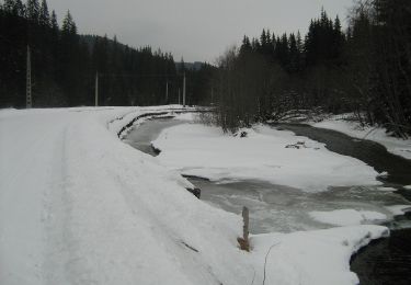 Percorso A piedi Sconosciuto - Cabana Obârșia Lotrului - Lacul Gâlcescu - Șaua Piatra Tăiată - Photo