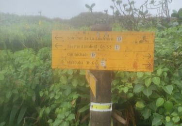 Trail Trail Saint-Claude - Grand matouba - Photo