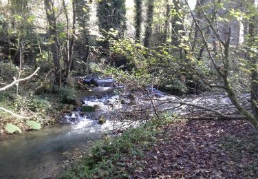 Excursión Senderismo Tinlot - Ramelot - Photo