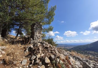 Tour Wandern Le Revest-les-Eaux - Reconnaissance tracés autour de la Ripelle - A la découverte de nouveaux chemins - Photo