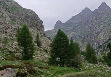 Tour Wandern Belvédère - randonnée du Mercantour le 09 juin 2023 - Photo