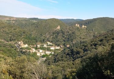 Tocht Stappen Limousis - Limousis (Gaël) - Photo