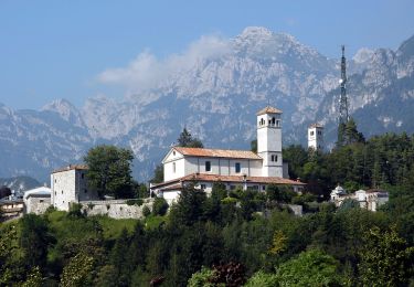 Trail On foot Moggio Udinese - IT-421 - Photo