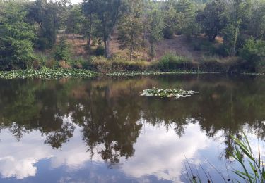 Trail Walking Fréjus - Barrage de Malpasset 09-09-20 - Photo