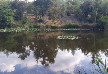 Tour Wandern Fréjus - Barrage de Malpasset 09-09-20 - Photo