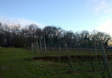 Percorso A piedi Groß-Umstadt - Parkplatzrundwanderweg Hainrich 4 : Hardberg-Weg - Photo