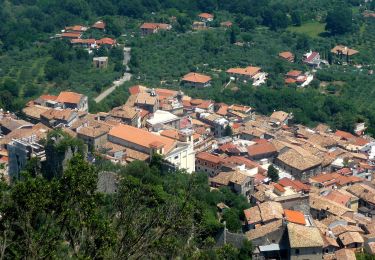 Tour Zu Fuß Morolo - Morolo-Sprone Maraoni-Sgurgola - Photo