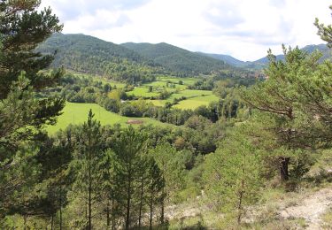 Percorso A piedi Campdevànol - Entre antigues parròquies de Gombrèn, Campdevànol i les Lloses - Photo