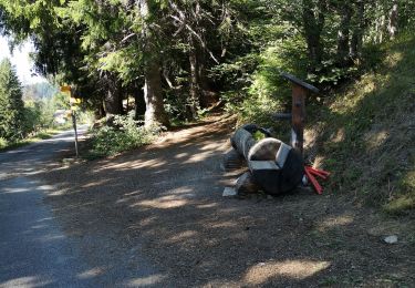 Percorso Camminata nordica Ayent - les deux bisses  - Photo