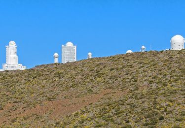 Tocht Te voet Fasnia - S-20 Volcán de Fasnia - Photo