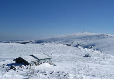 Trail Walking Saint-Pierre-la-Bourlhonne - Col_Beal_Vallon_Fossat - Photo
