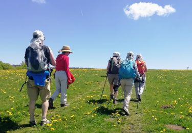 Tocht Stappen Les Hermaux - hermaux - bellecombe - Photo