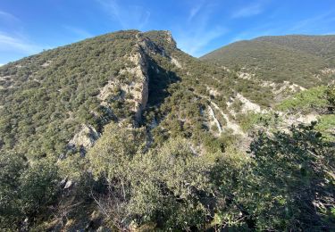 Tour Wandern Rousset-les-Vignes - Rousset les vignes sous La Chapelle - Photo