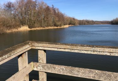 Tocht Stappen Neuville-sur-Ailette - Tour de l’Ailette - Photo