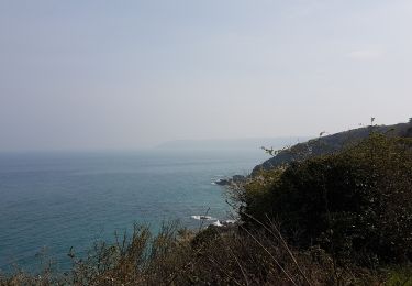 Tour Wandern Binic-Étables-sur-Mer - Terre et mer Etables /mer-Binic - Photo