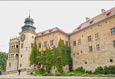 Percorso A piedi Sułoszowa - Podzamcze - Pieskowa Skała - Photo