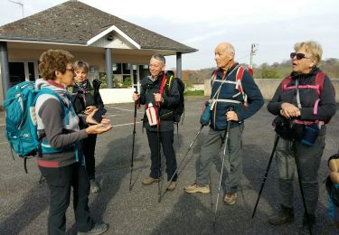 Tour Wandern Beyrie-en-Béarn - BEYRIE en BEARN promenade autour de Beyrie 3180282 - Photo