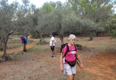 Tour Wandern Sillans-la-Cascade - Sillans(Maurice) - Photo