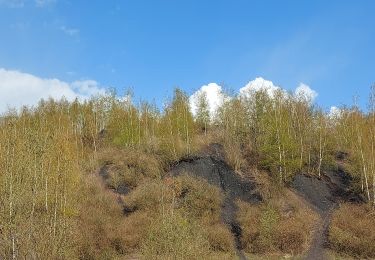 Tocht Stappen Farciennes - bois des corbeaux lambusart - Photo