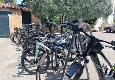 Trail Electric bike Monteux -  Carpentras gorges de la Nesque - Photo