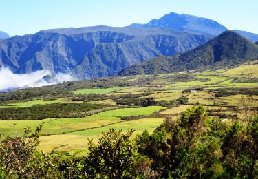 Tocht Stappen Le Tampon - Piton Dugain - Herbes blanches - Photo