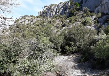 Tour Wandern La Roque-sur-Pernes - La Roque sur Pernes - Photo