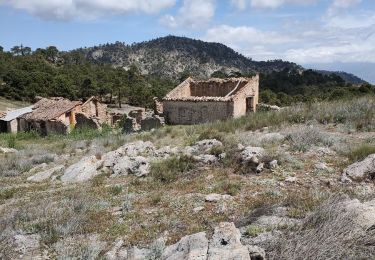 Trail Walking Albuñuelas - Casas forestales de la huida  - Photo