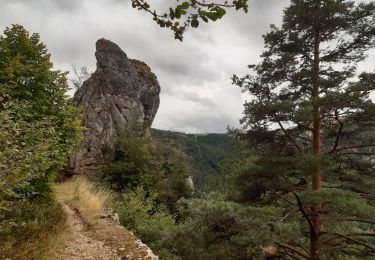 Trail Walking Hures-la-Parade - GR6 jour 11 Meyrueis - Photo