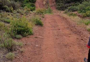 Tour Wandern La Motte - z les demoiselles 31-05-22 - Photo