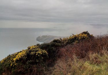 Excursión A pie Desconocido - Howth Tramline Loop - Photo