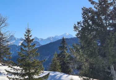Percorso Racchette da neve Fillière - CREPON DE  MONTOULIVERT - Photo