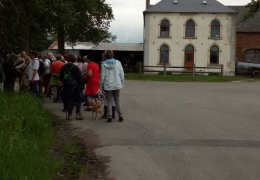 Trail Walking Chimay - Chimay la fagne labo 2019-5-30 - Photo