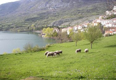 Excursión A pie Barrea - Civitella Alfedena - Barrea - Photo