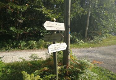 Tour Wandern Saint-Jean-de-Côle - Saint-Jean de colle la côte 12 km - Photo