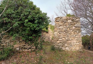 Percorso Marcia Mazaugues - Mourre d' Agnis-16-03-21 - Photo