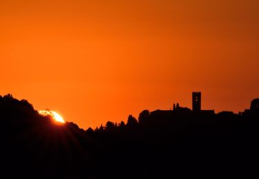 Trail On foot Buggiano - Borgo a Buggiano Pescia - Photo