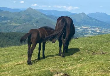 Tocht Stappen Itxassou - Mondarrain Gorospil en boucle retour par GR10 - Photo