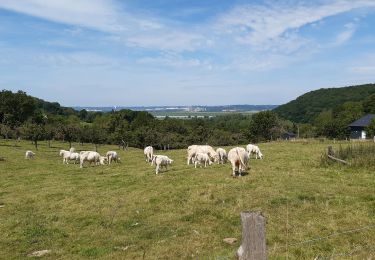 Trail Walking Fatouville-Grestain - Le chemin du phare - Photo