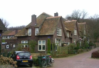 Trail On foot Renkum - Dorenweertsepad - Photo