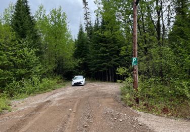 Randonnée Marche Lac-Édouard - QC - Lac Édouard - Les Bouleaux - Photo