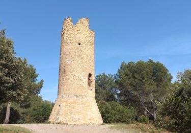 Tocht Stappen Aix-en-Provence - Aix Roi René Bibemus Tour Cesar - Photo