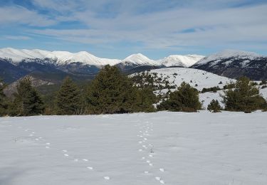 Trail Walking La Mure-Argens - La mure montagne de  maurel 950m 14kms - Photo